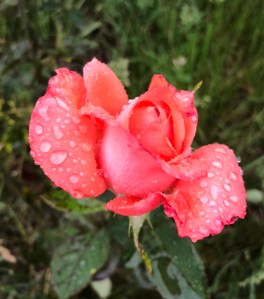 600235e8-5d85-48a2-9544-560268119d49